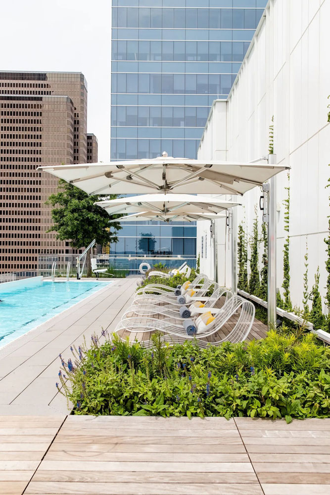 HALL Arts Hotel Dallas, Curio Collection by Hilton - Image 5