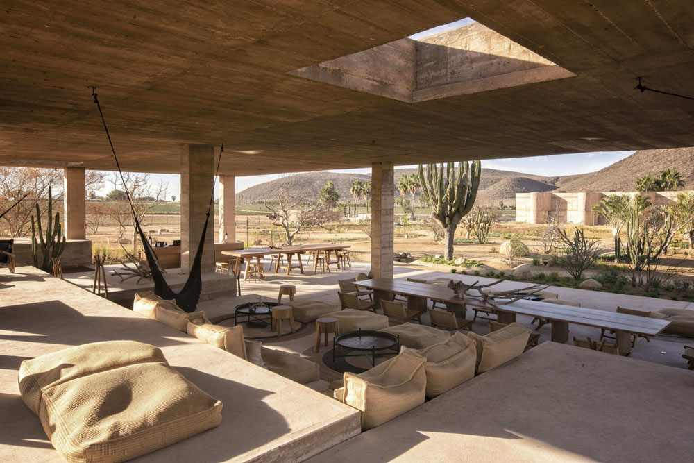 Paradero Todos Santos — Standardized Hotel Image Sequence #3 — Primary Common Area